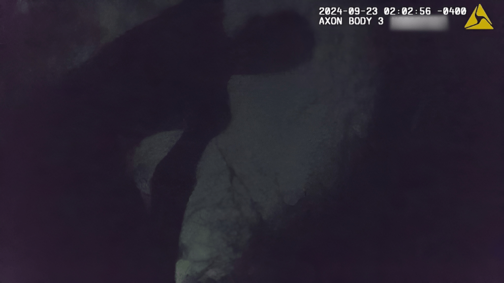 🌙 Officer Confronts a Suspect Alone in the Dark Woods